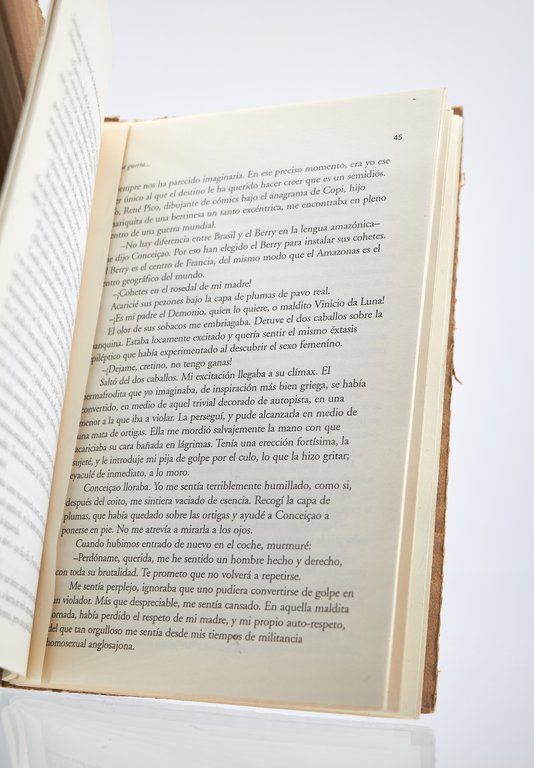 La guerra de las mariquitas