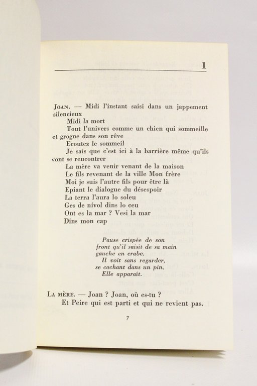 La Madone des ordures. Nostra dona dei bordilhas