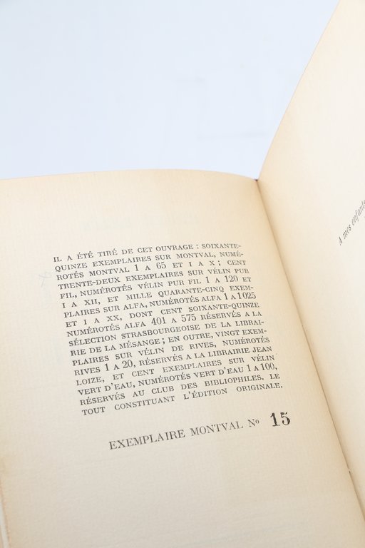 La Mort du petit Cheval