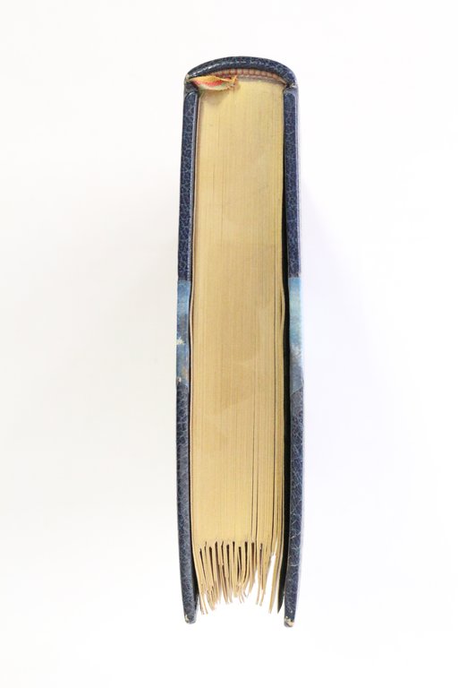 La mouche
