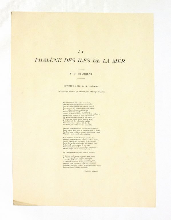 "La phalène des îles de la mer" - Lithographie originale …