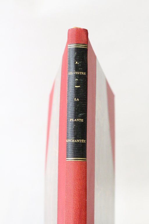 La Plante enchantée