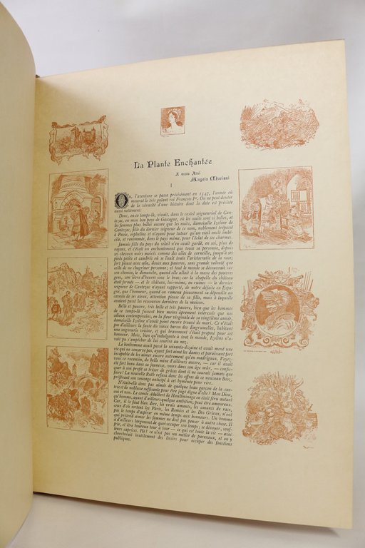 La Plante enchantée