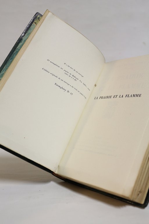La prairie et la flamme