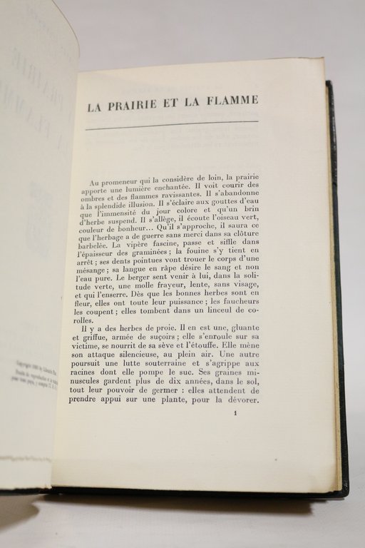 La prairie et la flamme