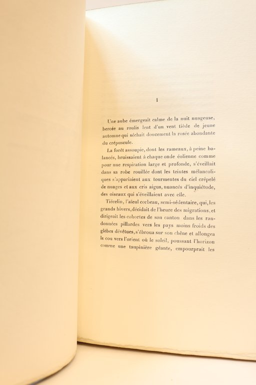 La revanche du corbeau