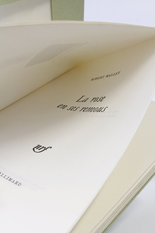 La rose en ses remous