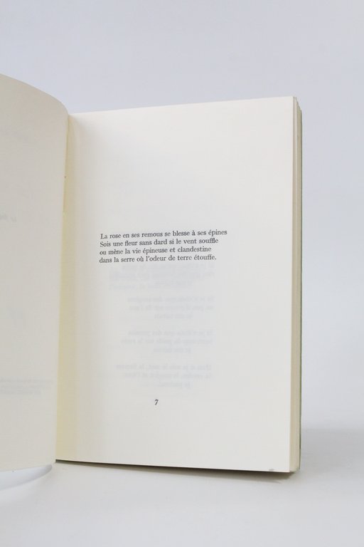 La rose en ses remous