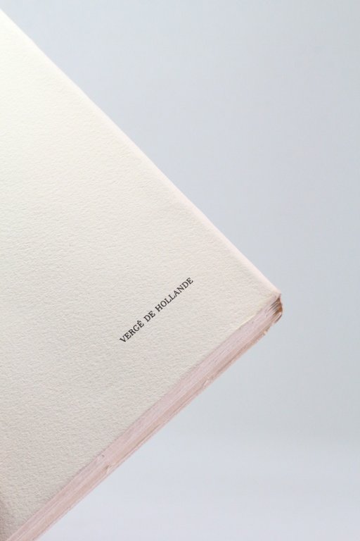 La Vicomtesse d'Eristal n'a pas reçu son balai mécanique. Souvenir …