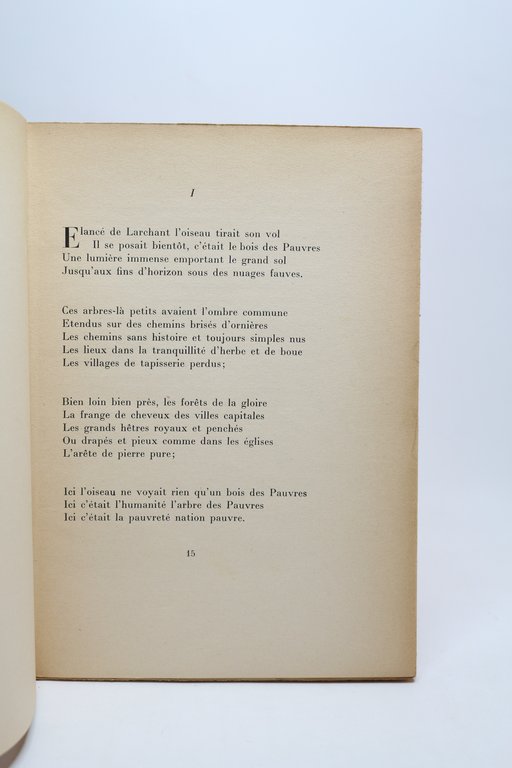 La vierge de Paris