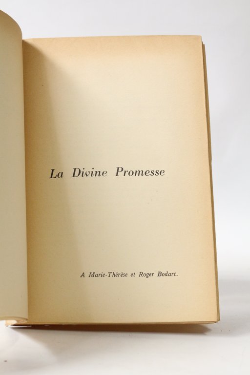 La vigne amère