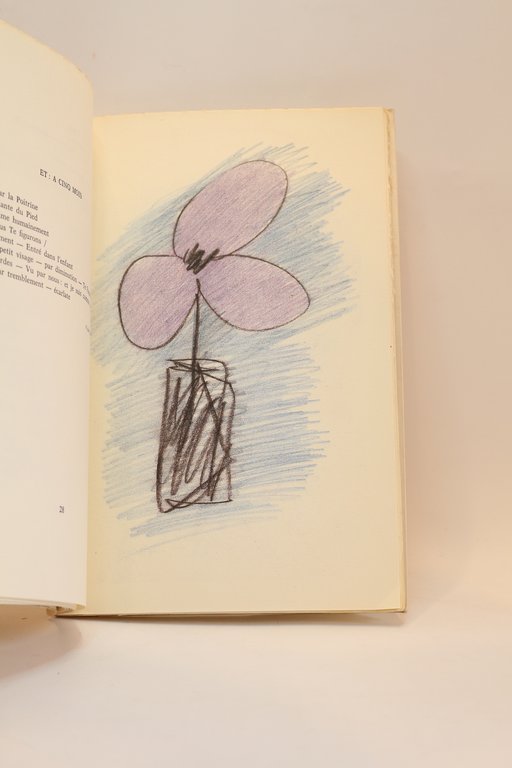 Le cahier de Véronique