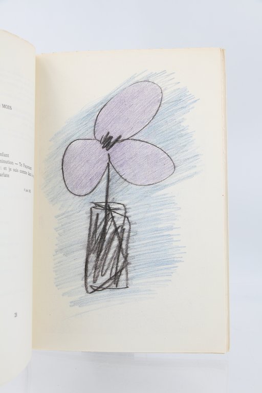 Le cahier de Véronique