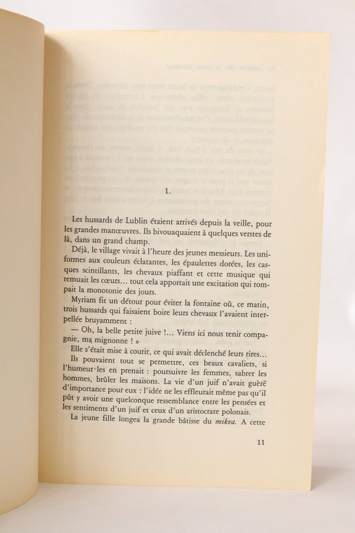 Le cavalier de la terre promise