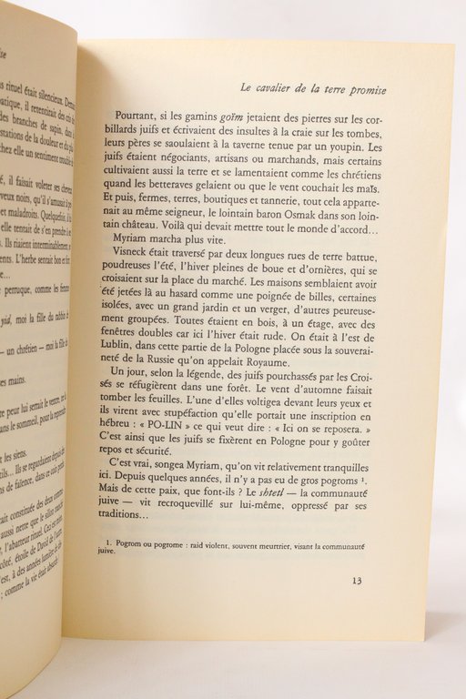 Le cavalier de la terre promise