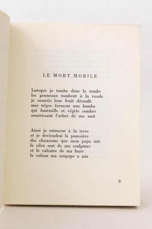 Le chien à la mandoline
