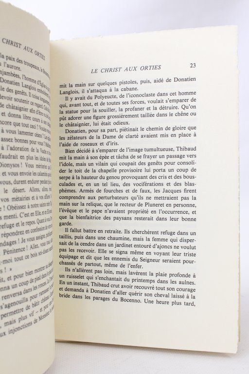 Le Christ aux orties