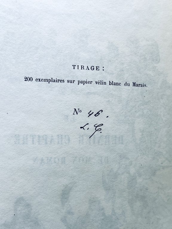 Le dernier chapitre de mon roman