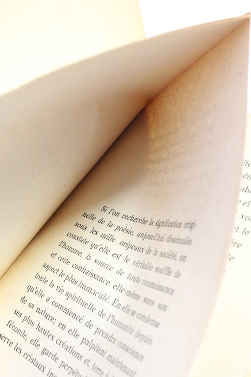 Le déshonneur des poètes