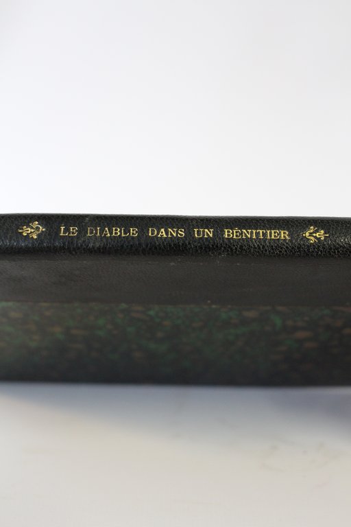 Le diable dans un benitier : Et la métamorphose du …