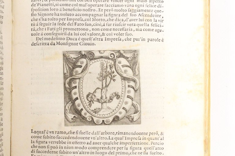 Le imprese illustri : con espositioni et discorsi del S.or …