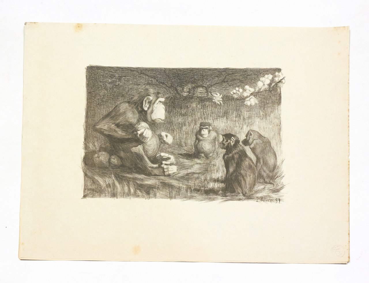 "Le jugement de Paris" - Lithographie originale sur Chine - …