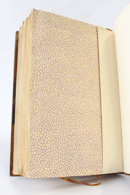 Le livre de raison d'Elisabeth Renault 1789-1795