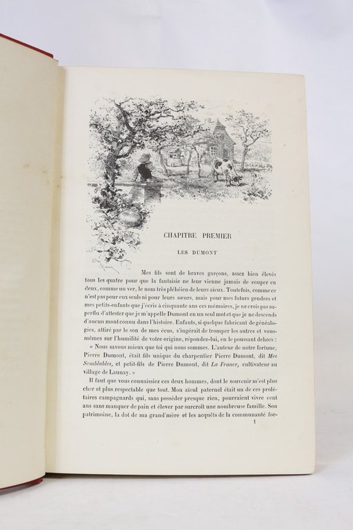 Le roman d'un brave homme