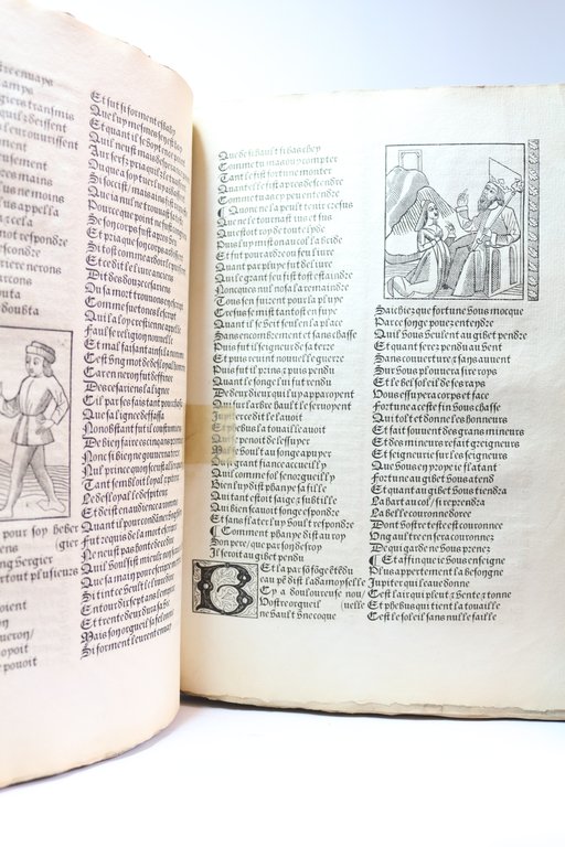 Le rommant de la rose (Le roman de la rose)