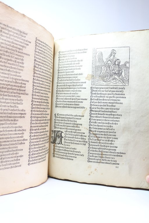 Le rommant de la rose (Le roman de la rose)