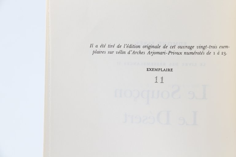 Le soupçon du désert. Le livre des ressemblances II