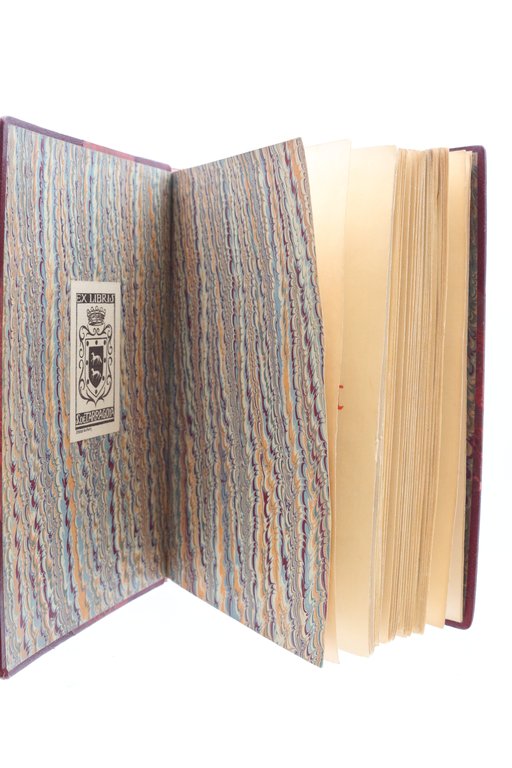 Le tigre et le coquelicot