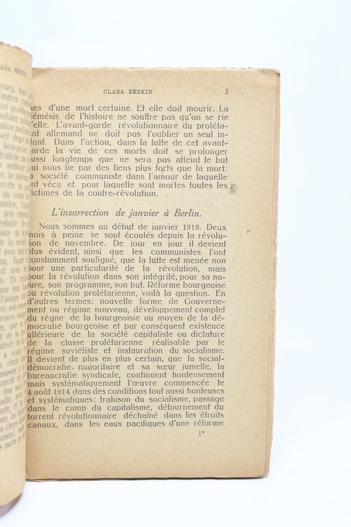 Les batailles révolutionnaires de l'Allemagne en 1919