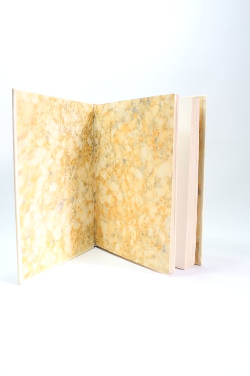 Les cent nouvelles nouvelles du Roi Louis XI