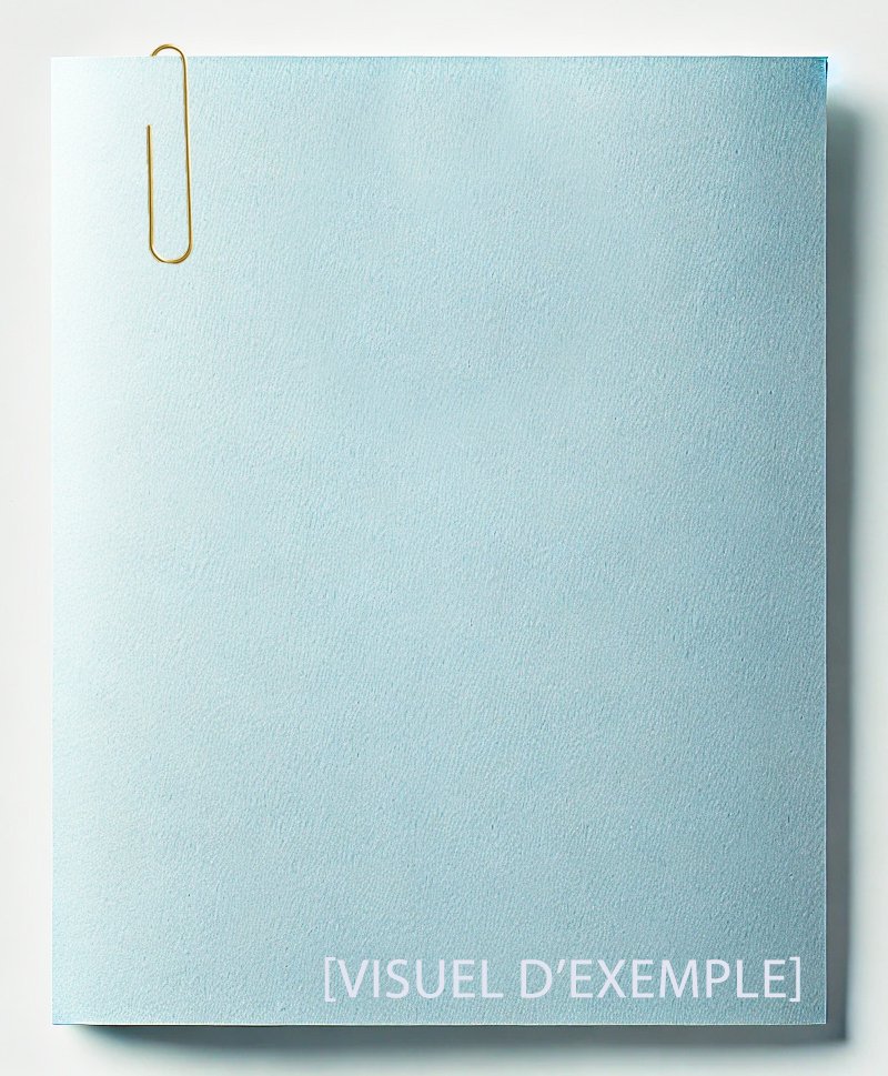 Les chemins de fer et les douanes en Suisse. Extrait …