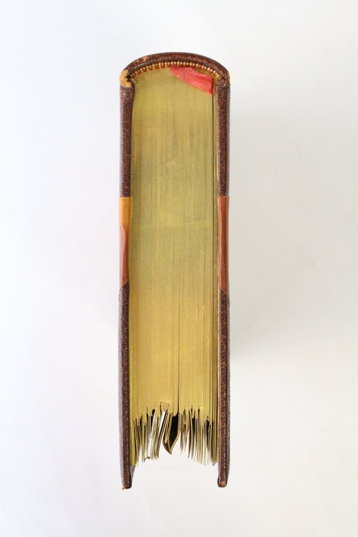 Les demi-vierges
