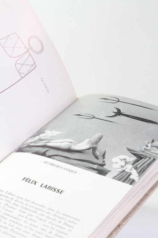 Les peintres témoins de leur temps, tome VIII : L'âge …