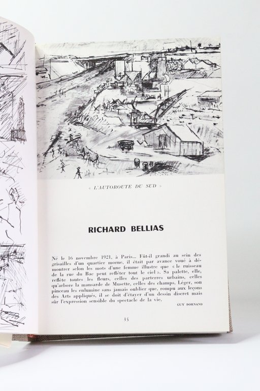 Les peintres témoins de leur temps, tome VIII : L'âge …