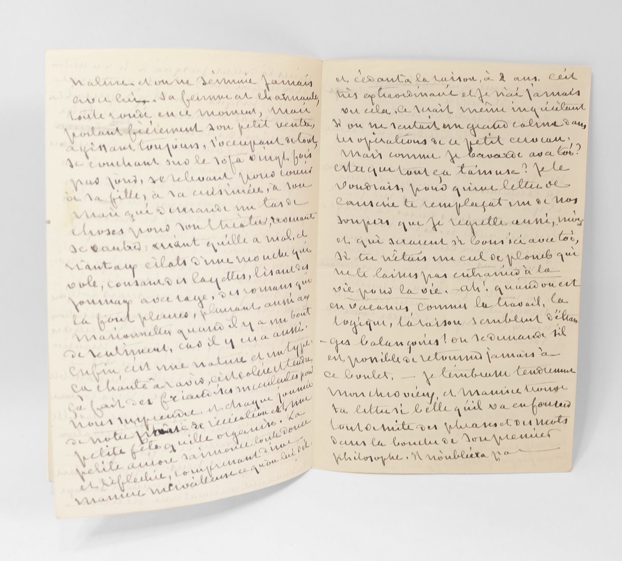 Étroniforme est le mot sublime qui classe cette espèce de …