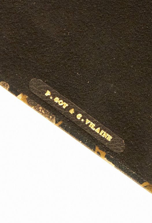 Étroniforme est le mot sublime qui classe cette espèce de …