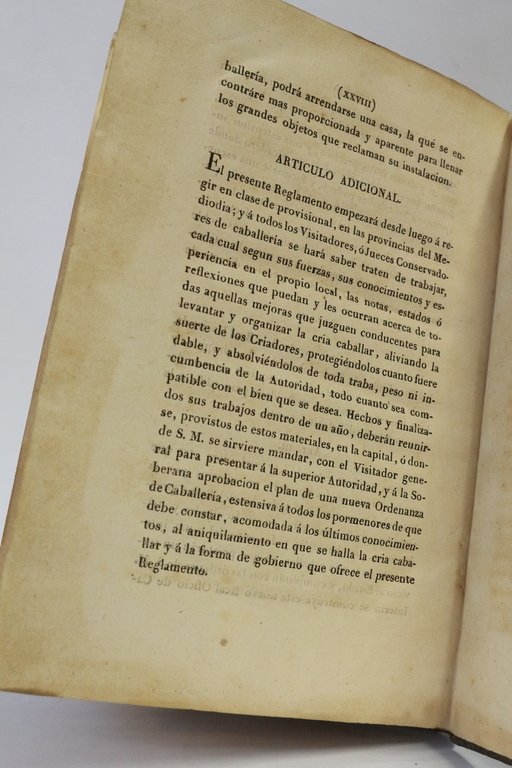 Memoria sobre la cria caballar de Espana