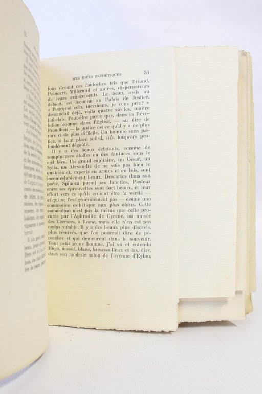 Mes idées esthétiques