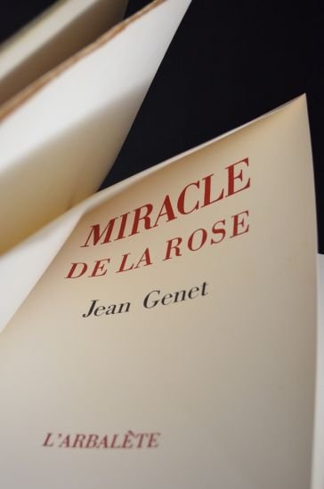 Miracle de la rose