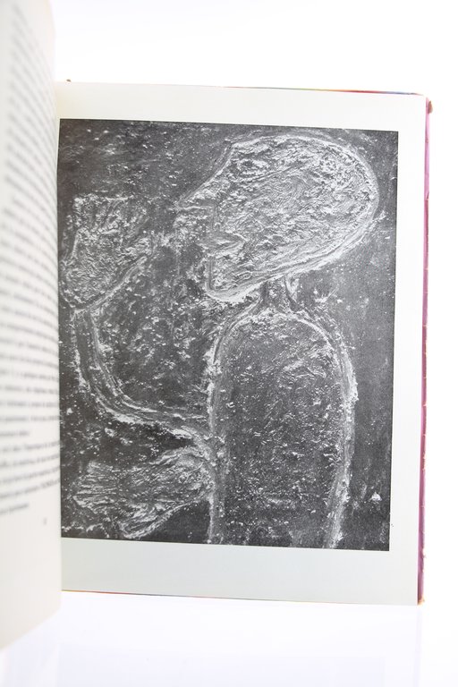 Mirobolus Macadam & Cie