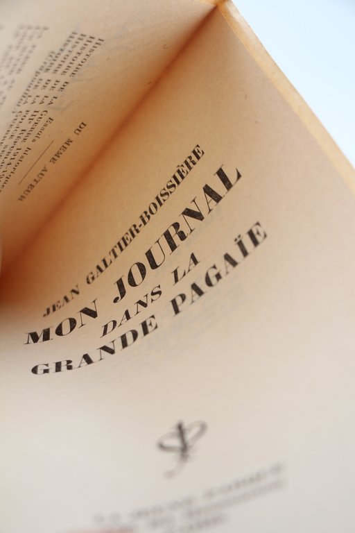 Mon Journal pendant la grande Pagaïe