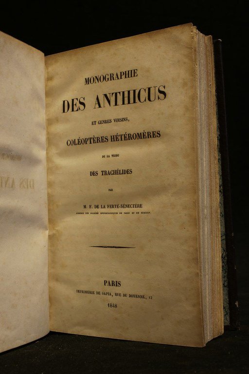 Monographie des Anthicus et genres voisins, coléoptères hétéromères de la …