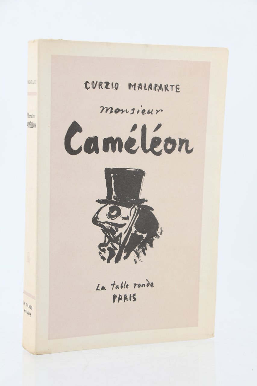 Monsieur Caméléon