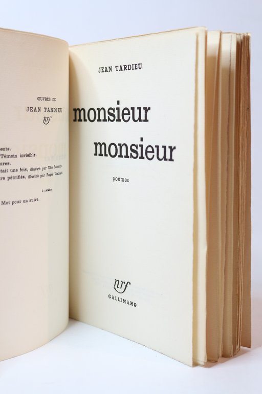 Monsieur monsieur