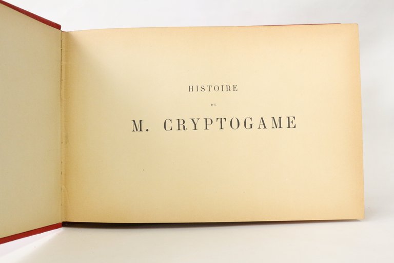 Mr. Cryptogame