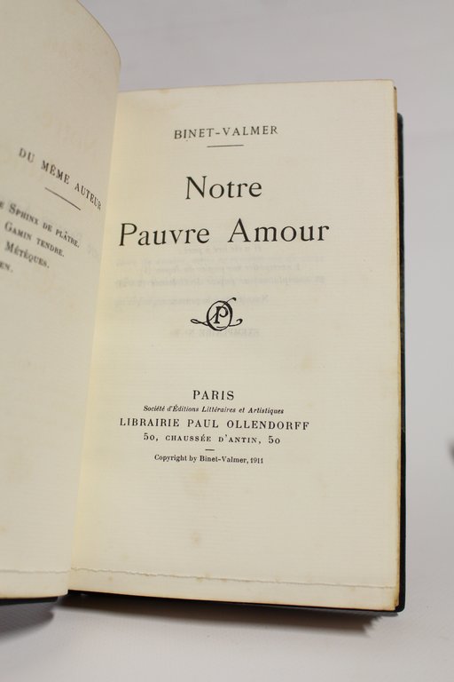 Notre pauvre amour